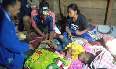 Bocah di Siak Diterkam HArimau Saat Sedang Tertidur di Dalam Kamar