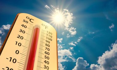 Laporan WMO Menyebutkan Tahun 2023 Akan Menjadi Tahun Terpanas