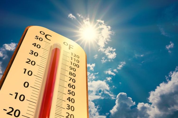 Laporan WMO Menyebutkan Tahun 2023 Akan Menjadi Tahun Terpanas