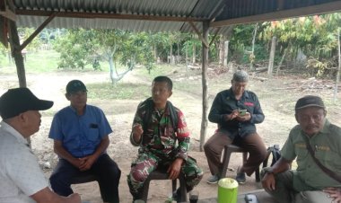 Babinsa Kodim 0301/ Pbr Himbau Masyarakat Agar Terus Jaga Kamtibmas  Selama Tahapan Pilkada