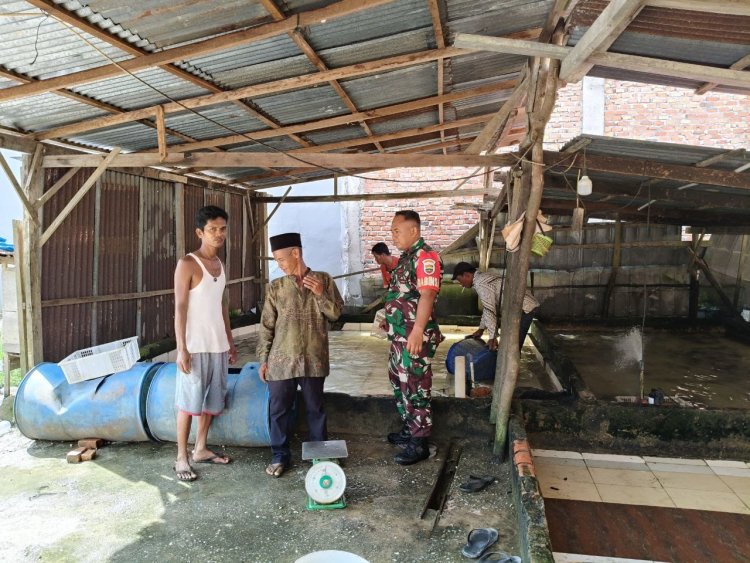 Tingkatkan Ketahanan Pangan,Babinsa Kodim 0301/Pbr Laksanakan Komsos Bersama Peternak Ikan