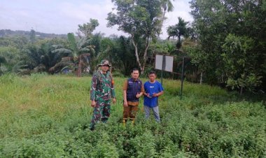 Babinsa Kodim 0301/Pbr Intensif Cek Lokasi Lahan Padi Gogo