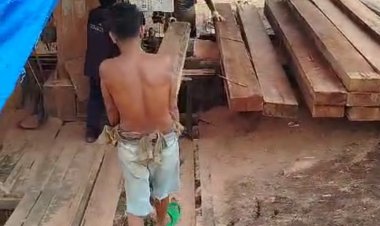 Sawmill Ilegal di Simpang Kambing Kembali Beroperasi, Penindakan Tak Beri Efek Jera