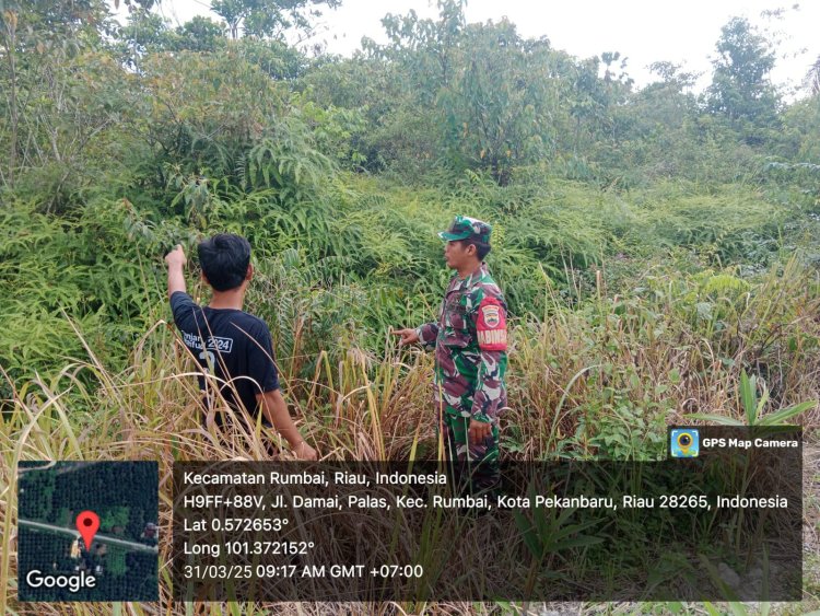 Babinsa Kodim 0301/Pbr Terus Upayakan Pencegahan Karhutla