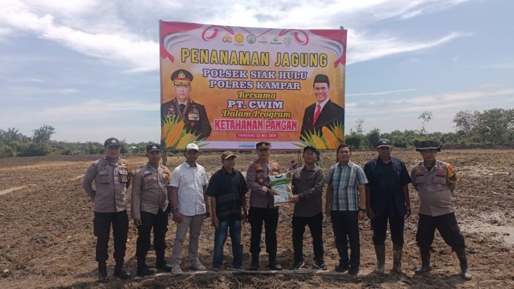 Polsek Siak Hulu dan PT. CWIM Tanam Jagung, Dukung Ketahanan Pangan Nasional   