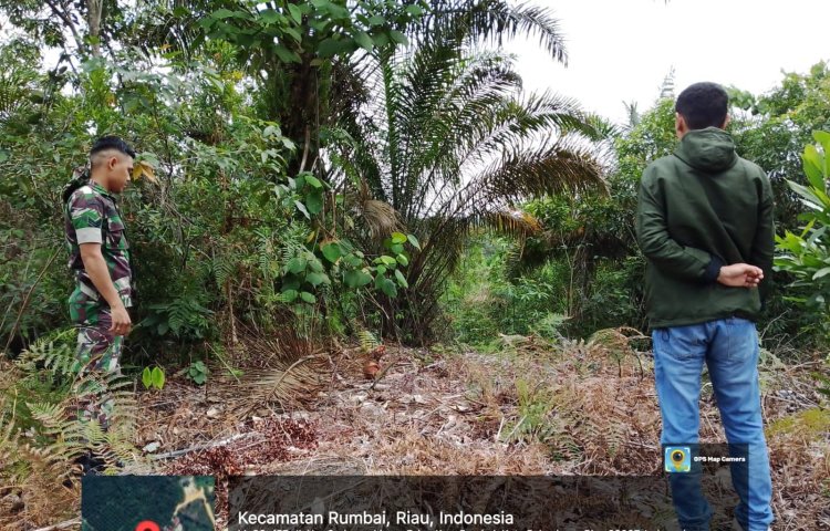 Babinsa Kodim 0301/pbr Tak Peduli Panas Terik,Laksanakan Patroli cegah Karhutla