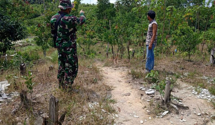 Sosialisasi dan Patroli Cara Ampuh Babinsa Kodim 0301/ Pbr Cegah Karhutla