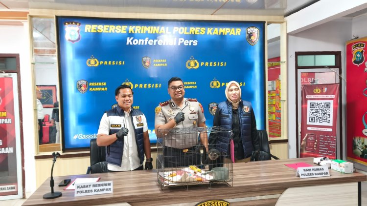 Owa Ungko Hampir Dijual 8 Juta, Polisi Amankan Pelaku!"
