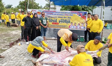 PWMOI Riau dan DNT Tour and Travel Sembelih 4 Ekor Sapi