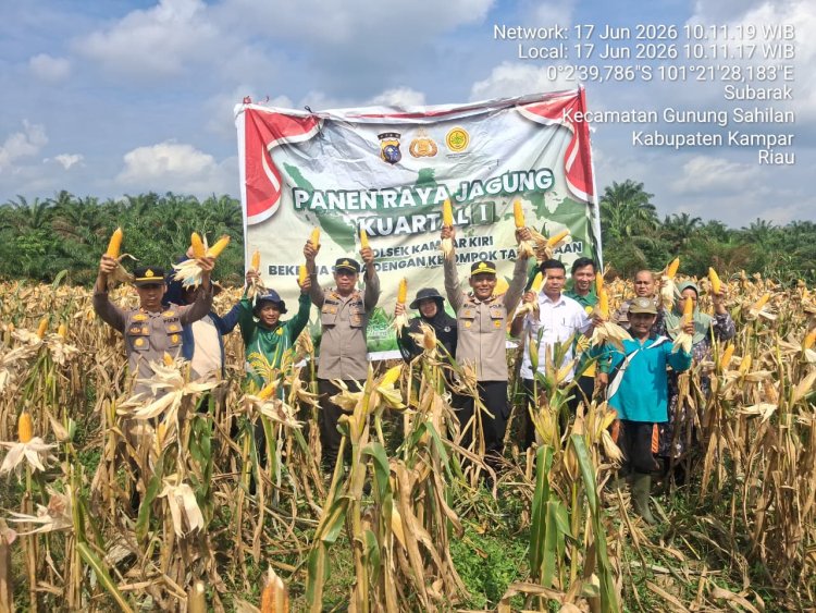 Berhasil Laksanakan Panen Raya,Kapolsek Kampar Kiri Berhasil Jaga Ketahanan Pangan Masyarakat