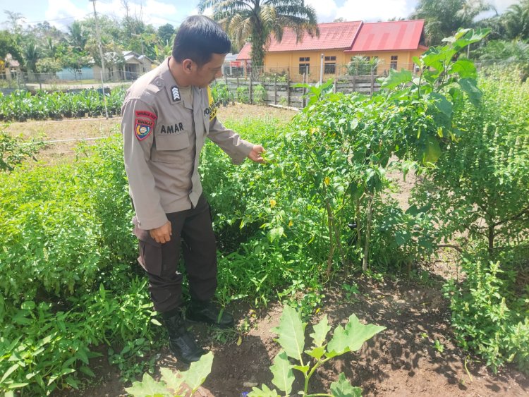 Kapolsek Singingi Terus Gencarkan Program Ketahanan Pangan